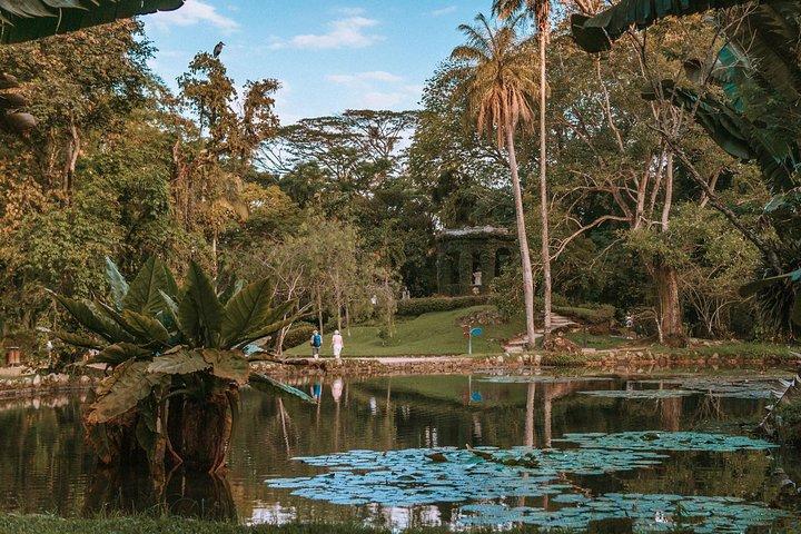 Rio de Janeiro Botanical Garden & Tijuca Forest Tour