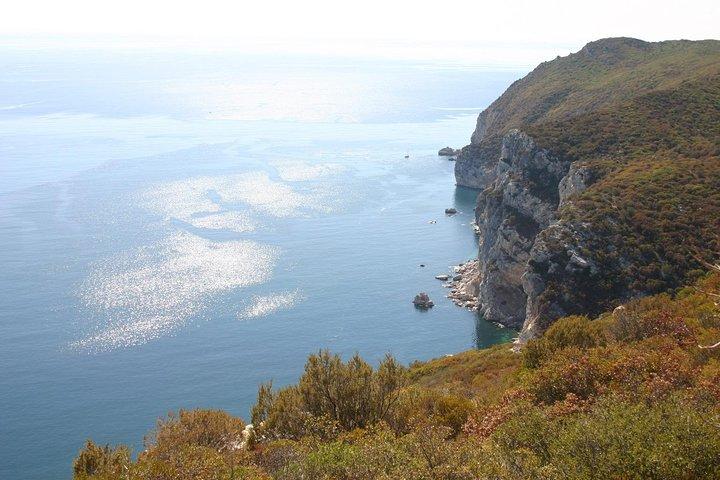 Full Day Private Tour - Arrábida Beaches and Azeitão Wine Region