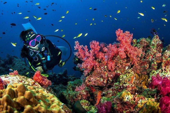 Grand Island Adventure: Diving and Water Sports Thrills