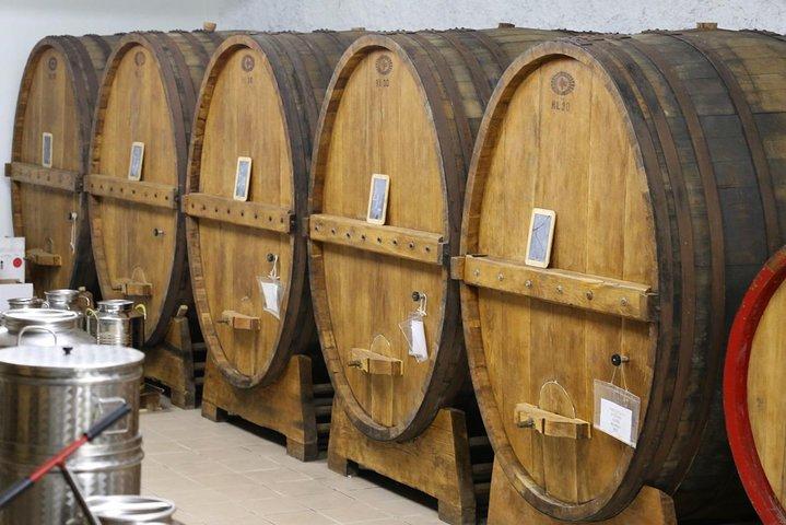 Winery tour with wine tasting from Assisi