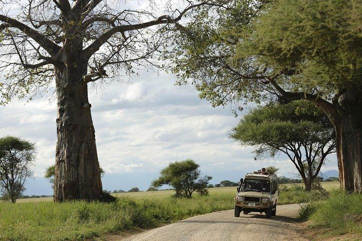 3-Days Tanzania Safari Tours