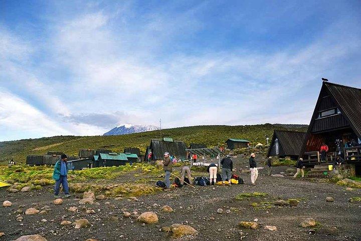 *Kilimanjaro 5-Day Hike*