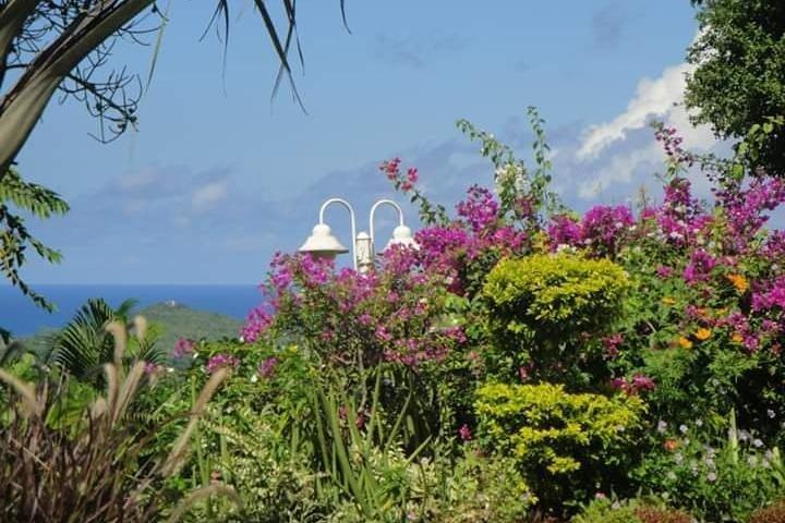 St Lucia Northern Island Tour