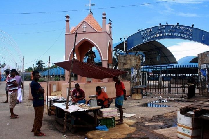 Sri Lanka Holiday with Private Driver