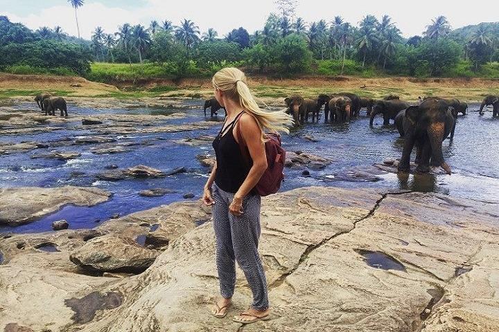 Sri Lanka Holiday with Private Driver