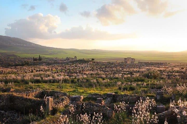 Day trip from Fes: Fes to Volubilis, Moulay Driss Mauseuleum and Meknes