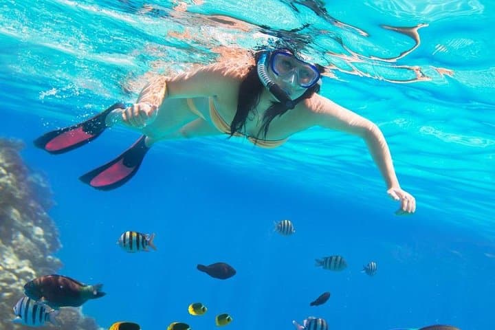 private over day tour From Luxor to Hurghada