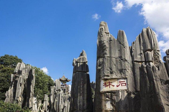 1-Day Self-Guided Stone Forest Geological Park Tour from Kunming