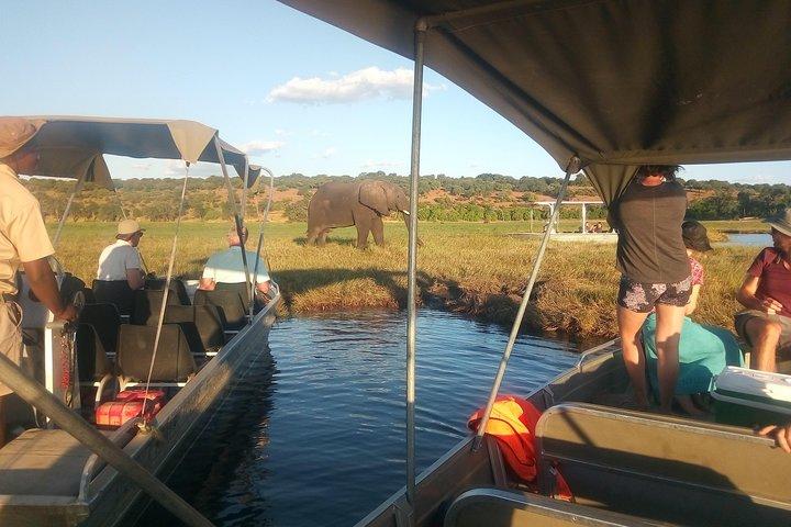 5-Day Ultimate Triple Country Safari: Zimbabwe, Zambia & Botswana