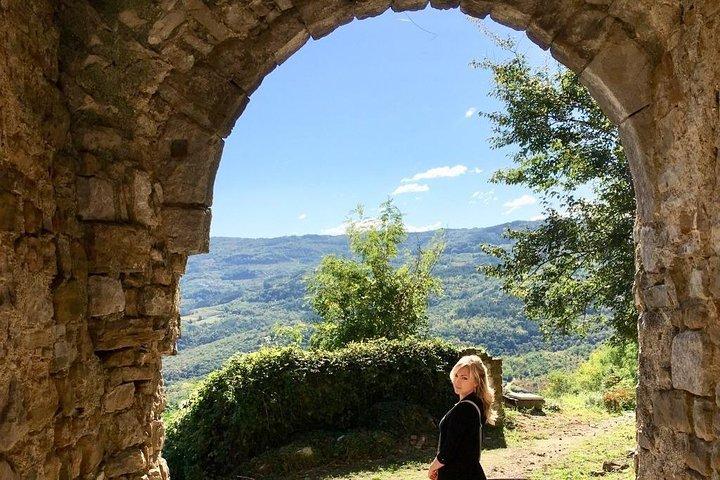 Istrian hill top cities tour with truffle and olive oil tasting