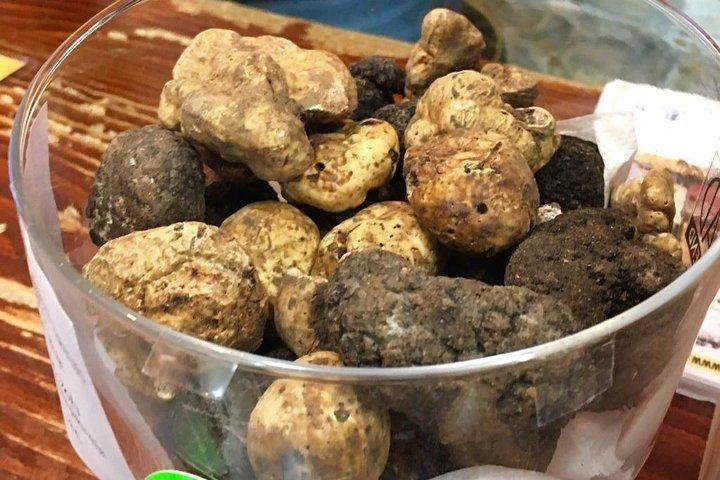 Istrian hill top cities tour with truffle and olive oil tasting