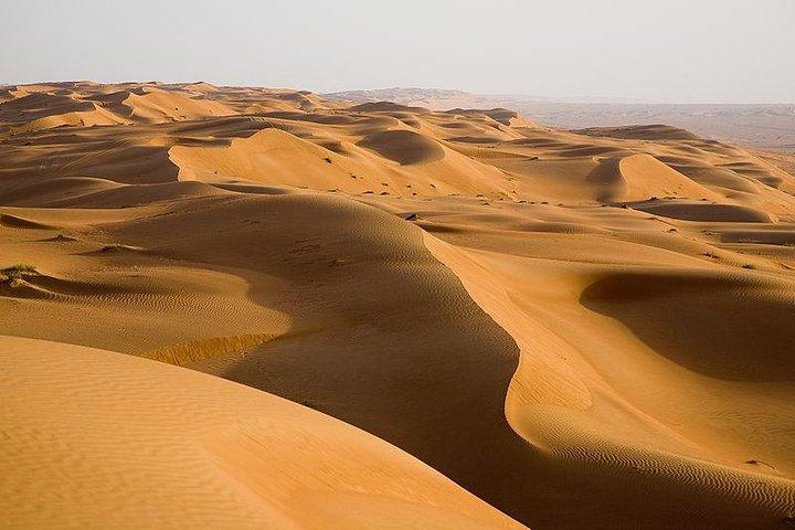 The Best Dubai Desert Safari with Quad Biking & Dune Bashing & BBQ & Live Show