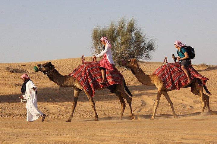 The Best Dubai Desert Safari with Quad Biking & Dune Bashing & BBQ & Live Show