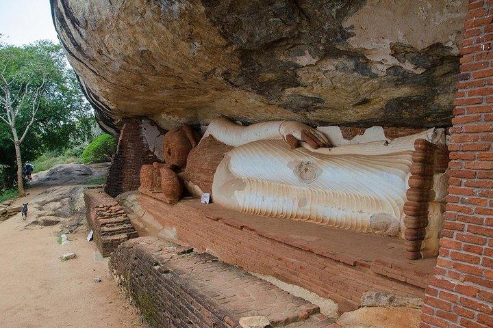 Pidurangala Rock All Inclusive Day Tour From Colombo