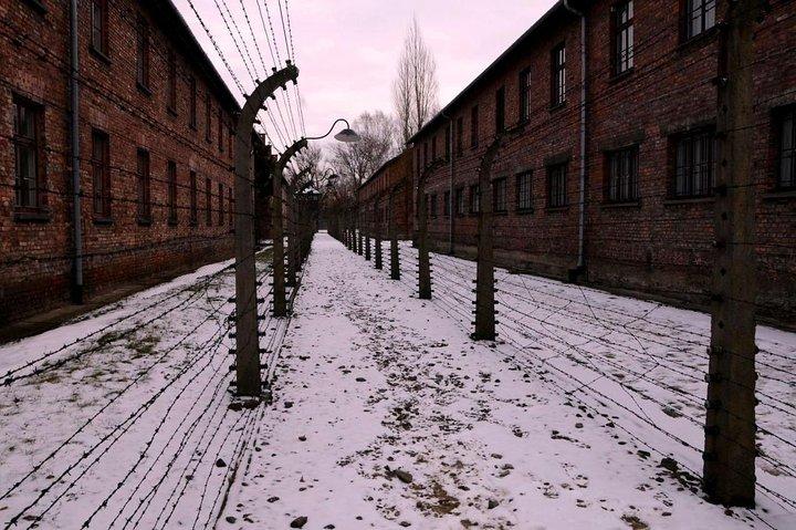 Auschwitz Tour from Krakow Skip-the-Line & Hotel Pickup-Guide ENG