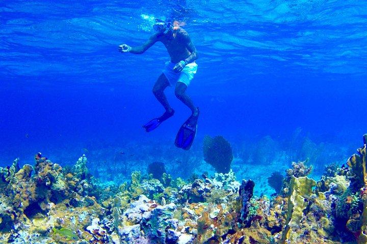 Glass Bottom Boat Ride/Snorkeling/Booby Cay Island from Negril