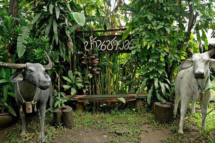 Chiang Mai Farm Life & Khao Soy Tasting on a Half Day Boat Tour