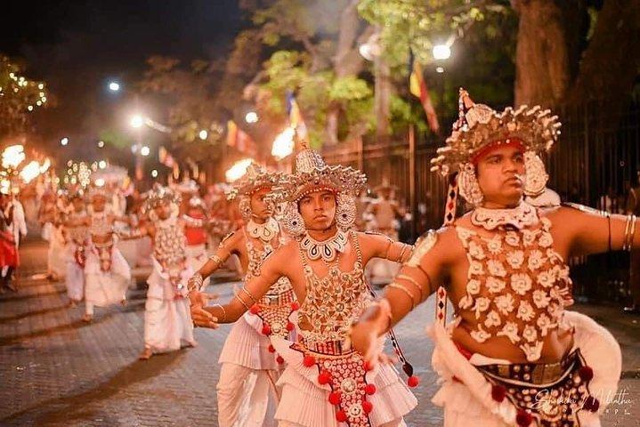 Kandy Day Tour from Colombo / Negombo