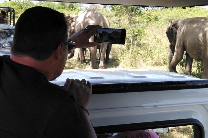 A Udawalawa Park safari, Tour from Colombo/Galle- (All inclusive)