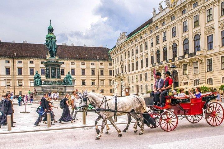 Explore Vienna in 60 minutes with a Local
