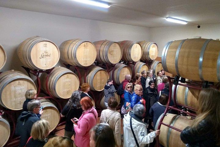 Amarone Wine Tasting in Valpolicella