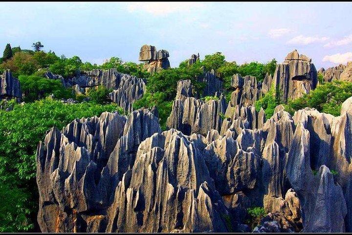 1-Day Self-Guided Stone Forest Geological Park Tour from Kunming