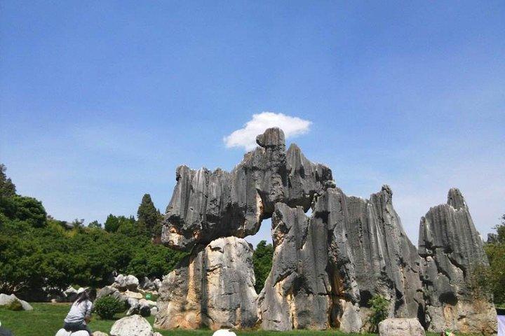 1-Day Self-Guided Stone Forest Geological Park Tour from Kunming