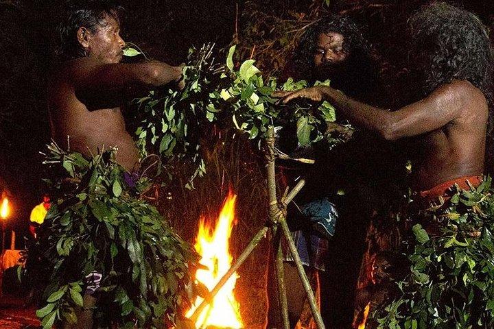 Full Day Tour to Remote Jungle Village
