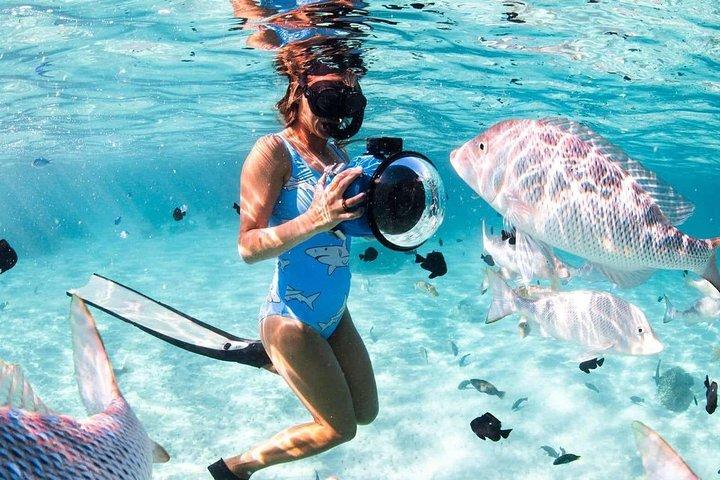 From Hurghada: Giftun Islands Full-Day Snorkeling Tour