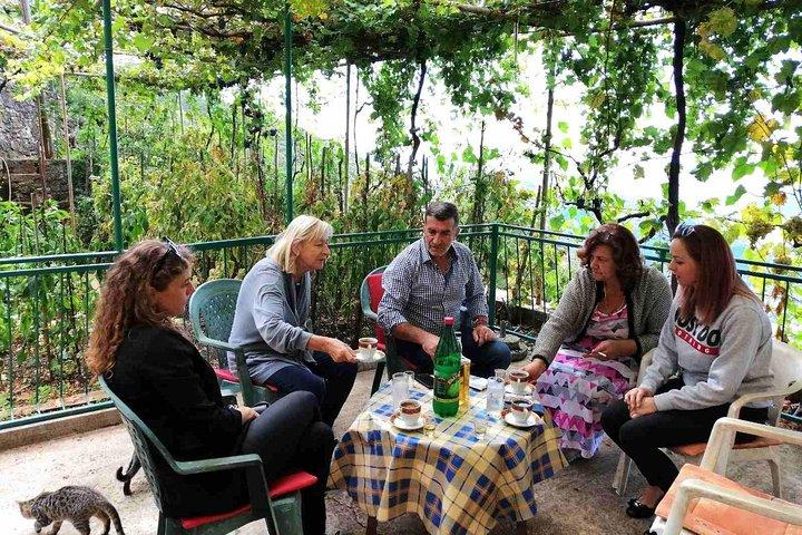 Unique local gastro experience in hills above Budva
