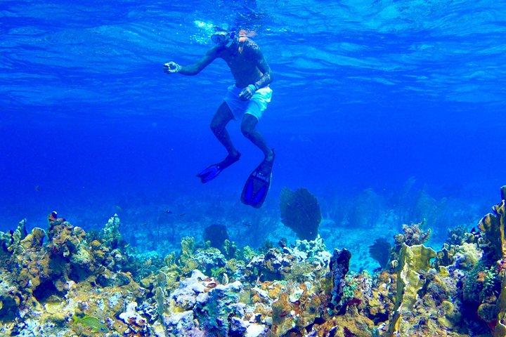 Glass Bottom Boat Ride/Snorkeling/Booby Cay Island from Grand Palladium Lucea