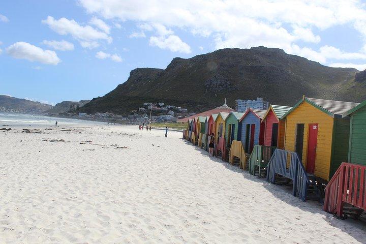 Cape Of Good Hope Bo-Kaap Penguins Full Day tour From Cape Town