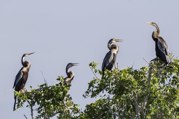 Bundala National Park Private Safari with Naturalist