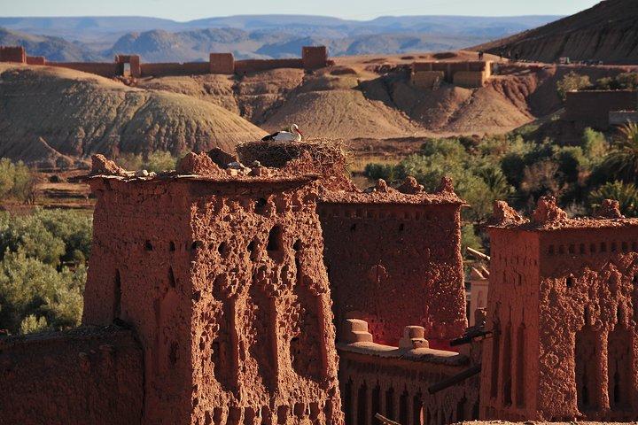 Magical Tour of Kasbahs, Ouarzazate & Oasis 1 night 2 days