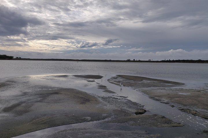 Bundala National Park Private Safari with Naturalist