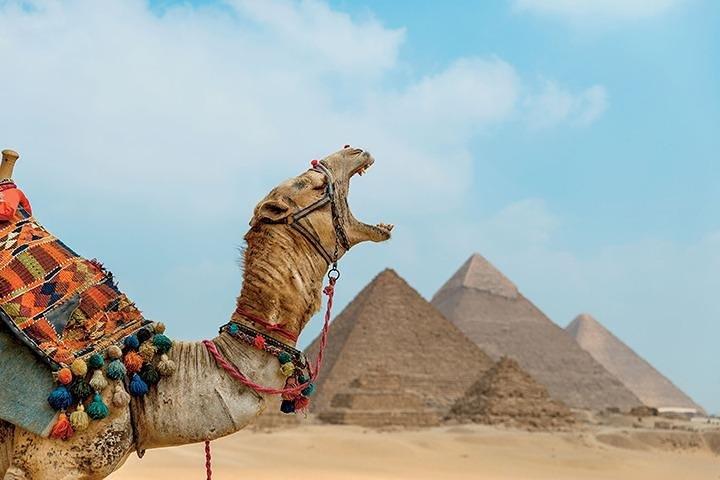 Package 8 Days 7 Nights To Pyramids, Luxor & Aswan by Air