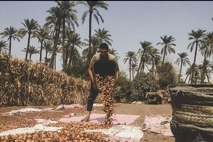 Private Cairo local food and countryside life tour