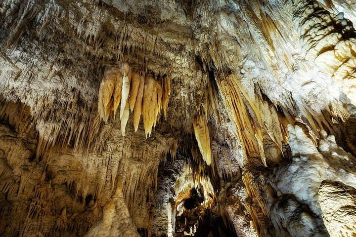 Waitomo Caves & Rotorua - Te Puia Small-Group Tour from Auckland