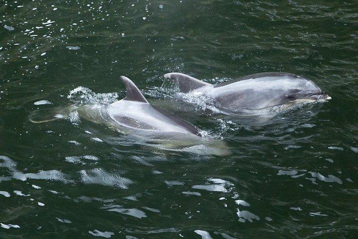 Premium Milford Sound Small Group Tour & Cruise from Queenstown