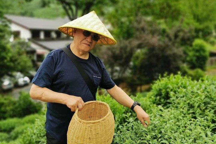 Hangzhou West Lake and Tea Plantation Half Day Tour