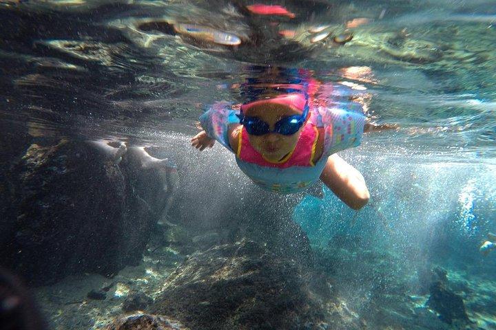Kikuletwa Chemka Hot Spring Day Tour from Arusha