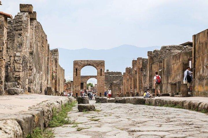 Pompeii Ruins & Hercualenum with Lunch & Wine Tasting from Rome