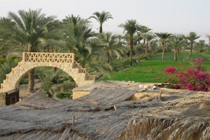 Full-Day Tour to Al-Fayoum from Cairo