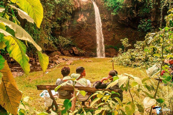Coffee Tour Experience from Arusha