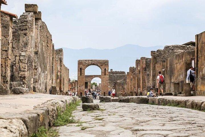 Pompeii Ruins & Mt.Vesuvius with Lunch & Wine Tasting from Rome