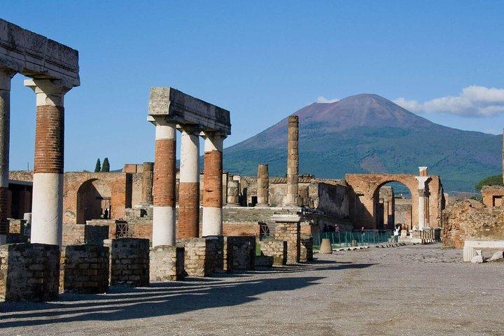 Pompeii Ruins & Mt.Vesuvius with Lunch & Wine Tasting from Rome