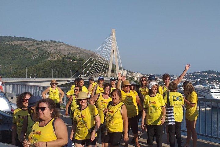 Dubrovnik Panorama Sightseeing with Tour Guide in Minivan