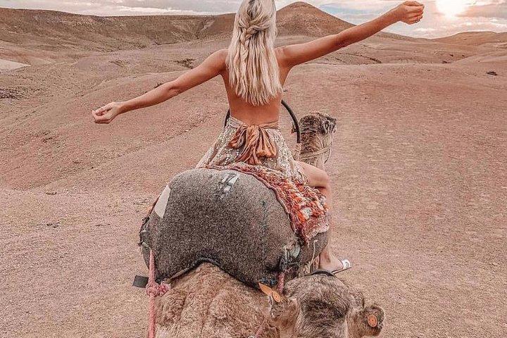 Camel Ride in the agafay desert