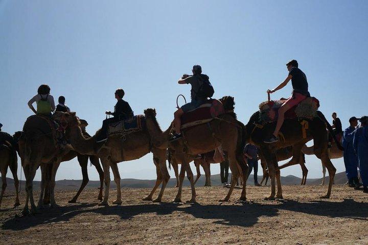 Camel Ride in the agafay desert