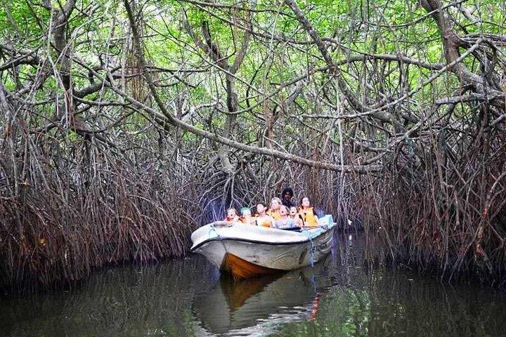 Galle and Bentota Day Excursion From Colombo